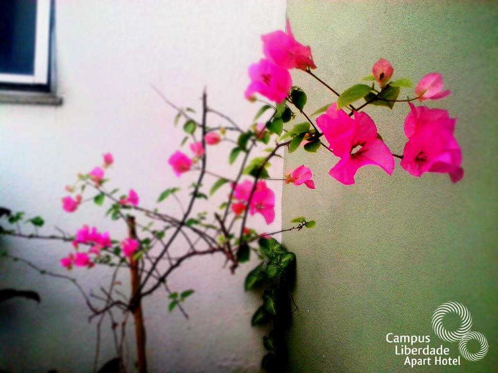 Apart-hotel Campus Liberdade Flat Belo Horizonte